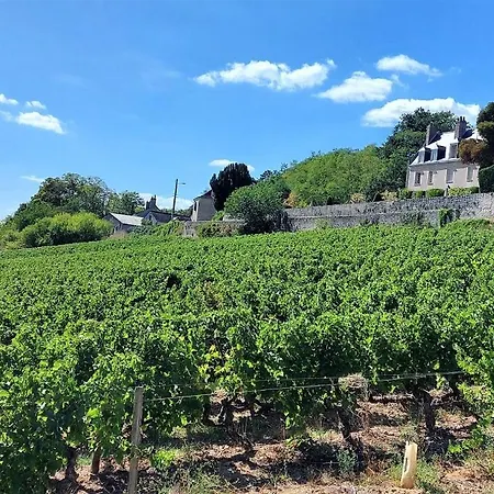 L'historique / Basilique St Martin Tours