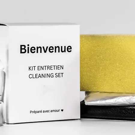 L'historique / Basilique St Martin Daire *