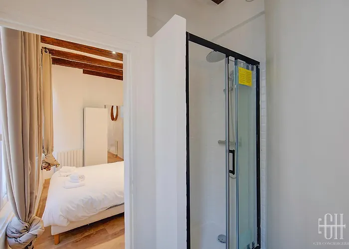 Appartement L'historique / Basilique St Martin