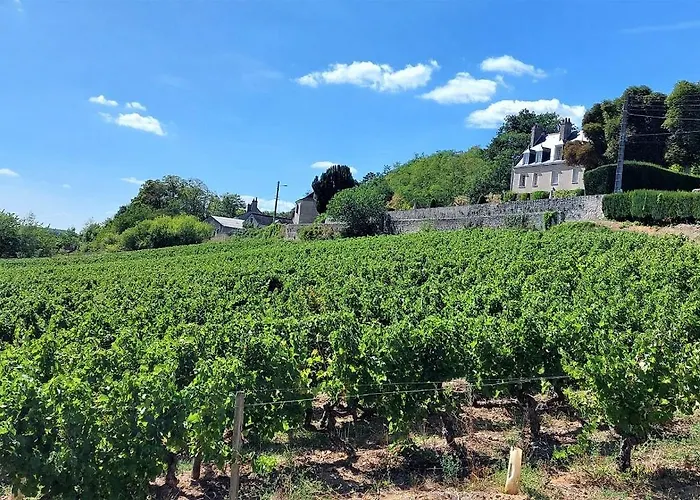 L'historique / Basilique St Martin Tours