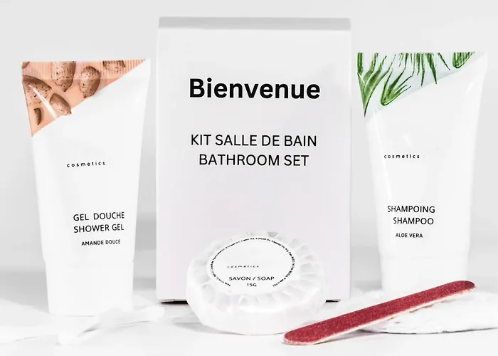 L'historique / Basilique St Martin דירה טור